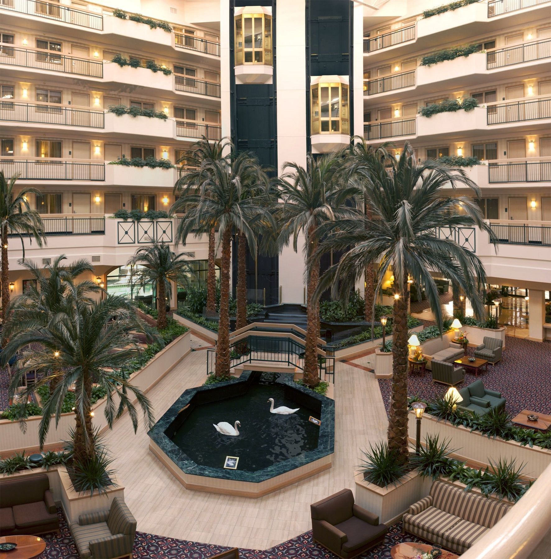 Embassy Suites By Hilton Houston Near The Galleria מראה חיצוני תמונה